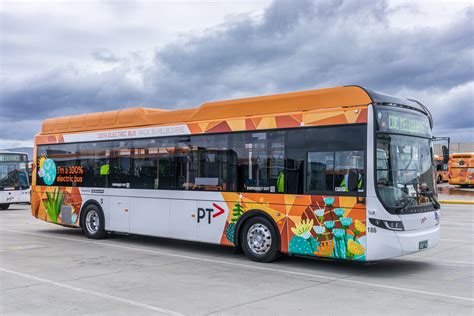 melbourne electric bus bci.